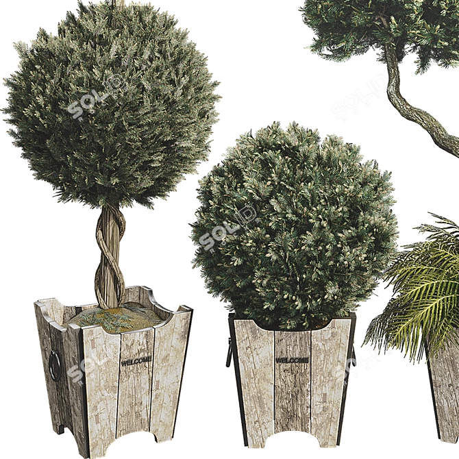 Outdoor Foliage Collection 3D Model 3D model image 2