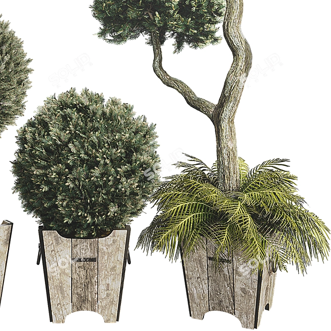 Outdoor Foliage Collection 3D Model 3D model image 3