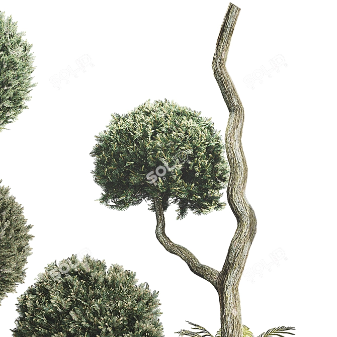 Outdoor Foliage Collection 3D Model 3D model image 4