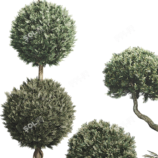 Outdoor Foliage Collection 3D Model 3D model image 5