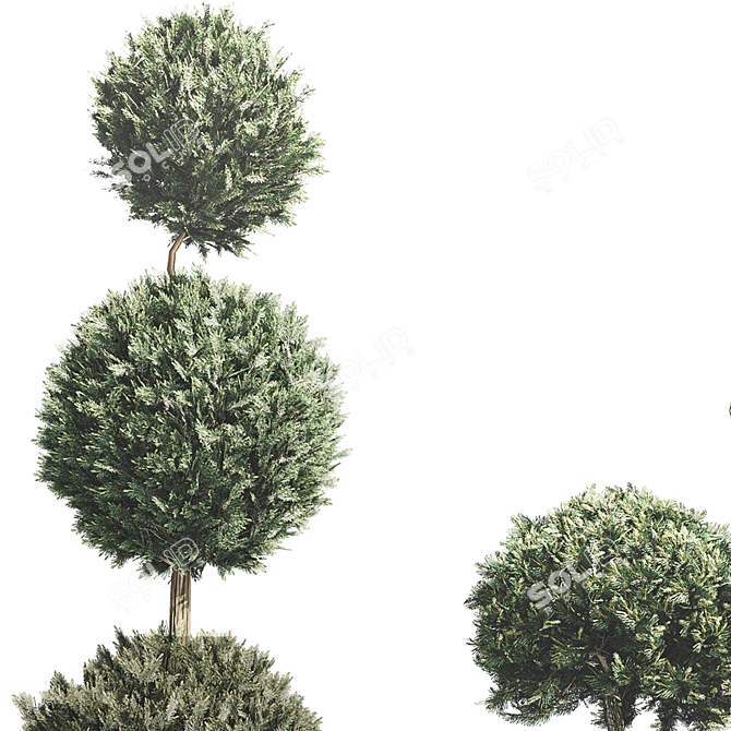 Outdoor Foliage Collection 3D Model 3D model image 6