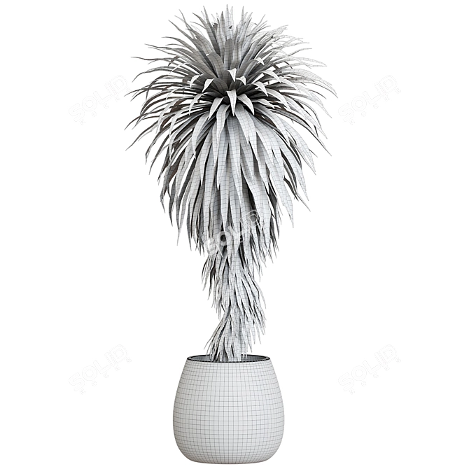 Corona Plant Collection 46 3D model image 2