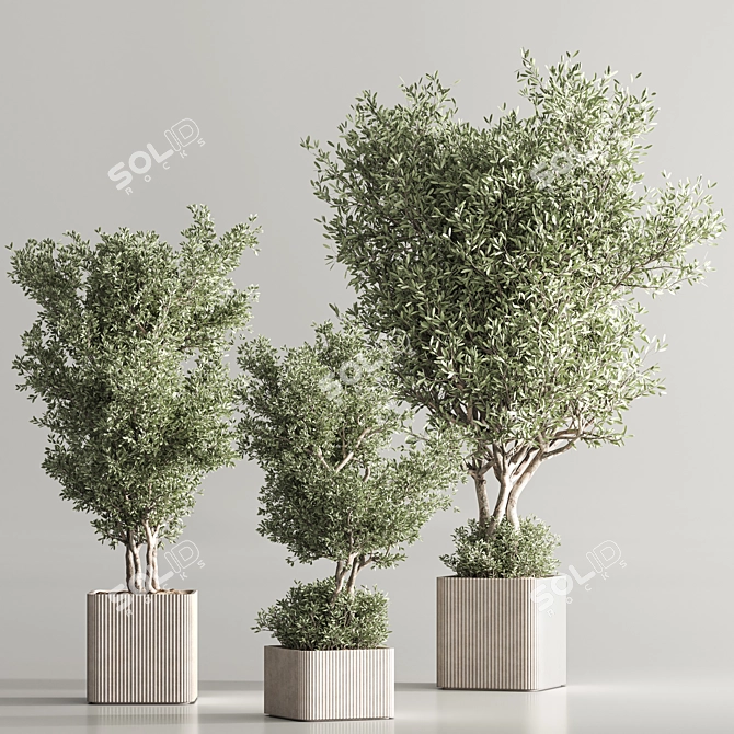 Green Oasis Plant Set 3D model image 3