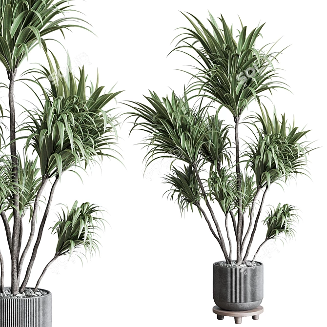 305 Plant in Dirty Concrete Pot 3D model image 1