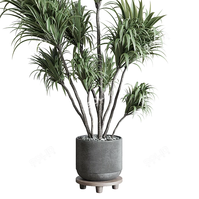 305 Plant in Dirty Concrete Pot 3D model image 2