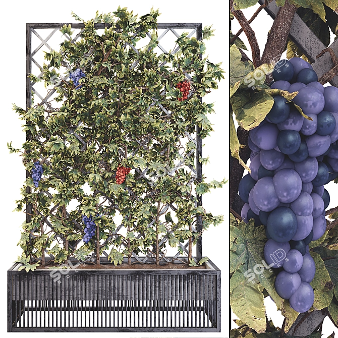 Grape Tree Flower Box 01 - 3D Model Kit 3D model image 1