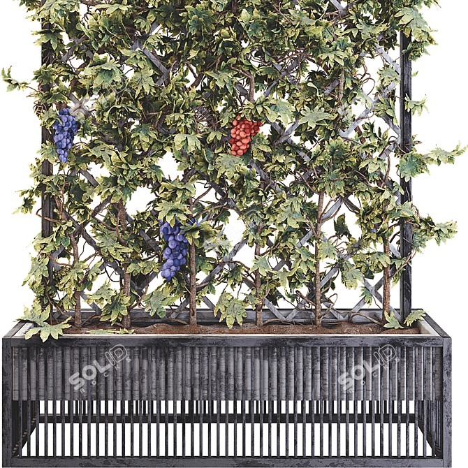 Grape Tree Flower Box 01 - 3D Model Kit 3D model image 3