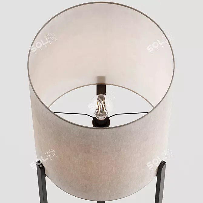 Contemporary Metal Floor Lamp Fixture 3D model image 3