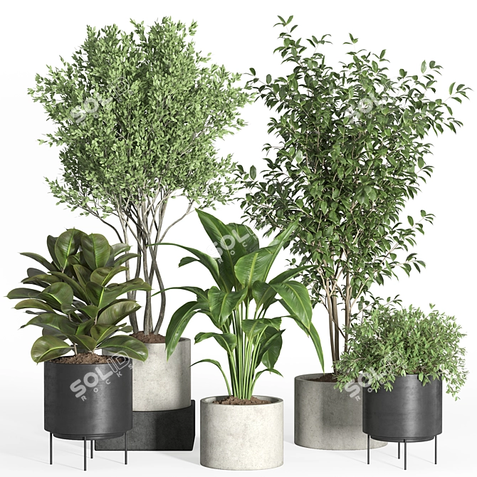 Modern Indoor Plant Set Eco-Friendly 3D model image 1