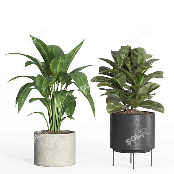 Modern Indoor Plant Set Eco-Friendly 3D model image 3