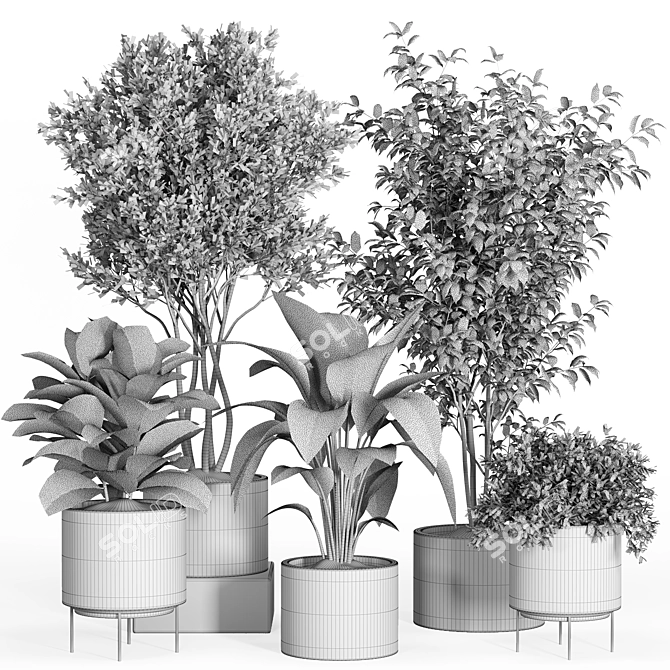 Modern Indoor Plant Set Eco-Friendly 3D model image 4