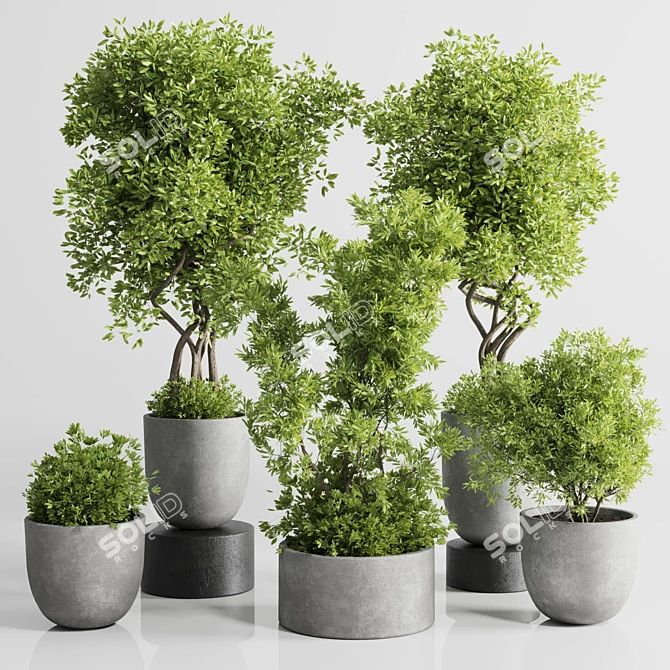 Concrete Indoor Plant Set 303 3D model image 1