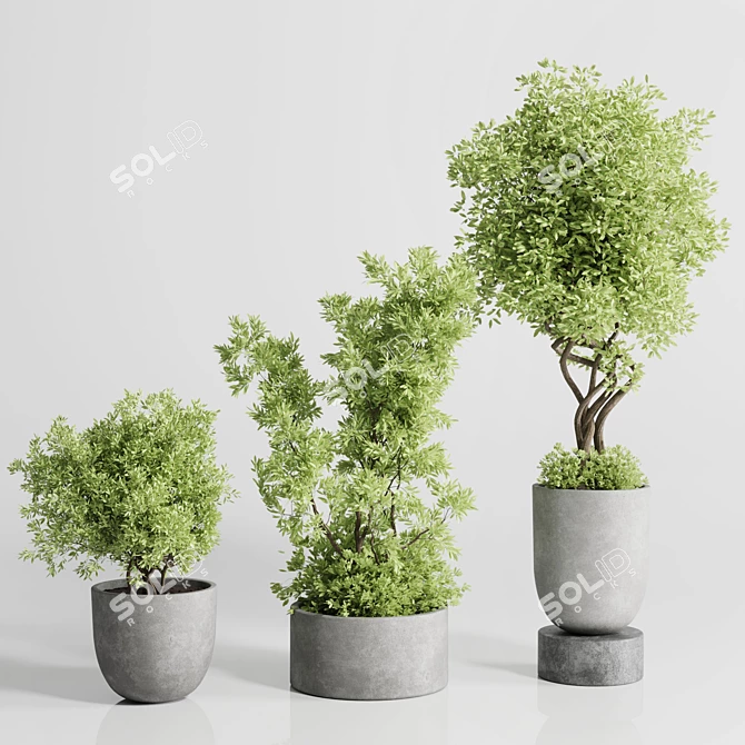 Concrete Indoor Plant Set 303 3D model image 2