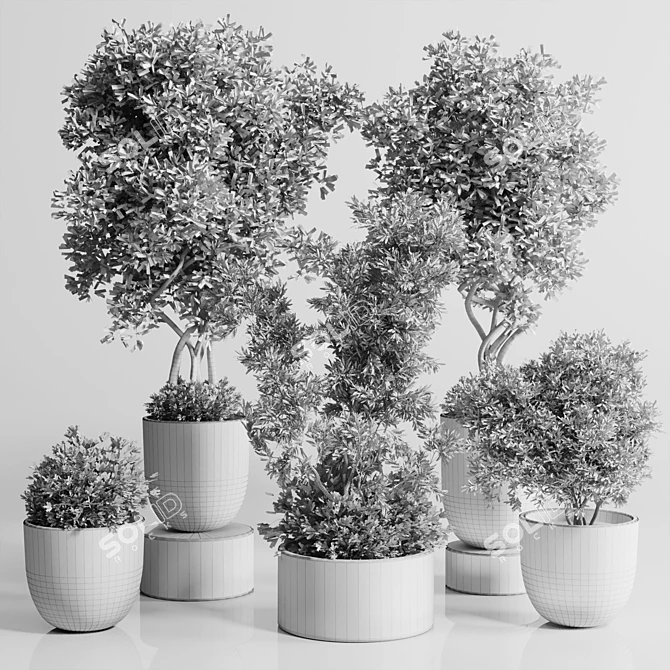 Concrete Indoor Plant Set 303 3D model image 5