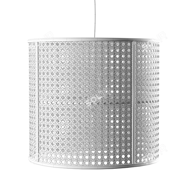 Natural Poetry Pendant Light 3D model image 2