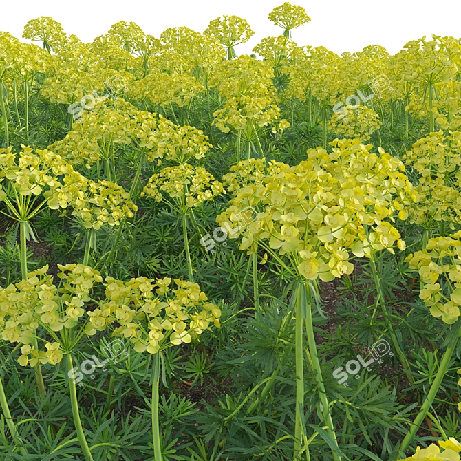 Diverse 3D Plant Models Solution 3D model image 2