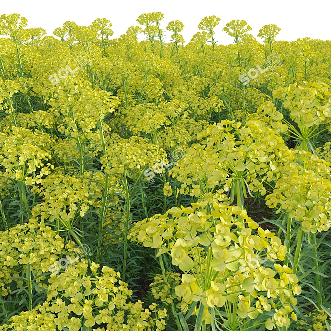 Diverse 3D Plant Models Solution 3D model image 6