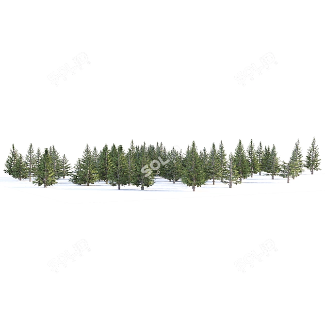 Spruce Forest 3D Model Render 3D model image 5