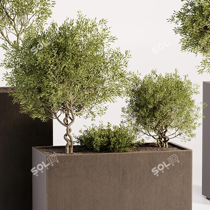 High Quality Outdoor Plant Collection 3D model image 2