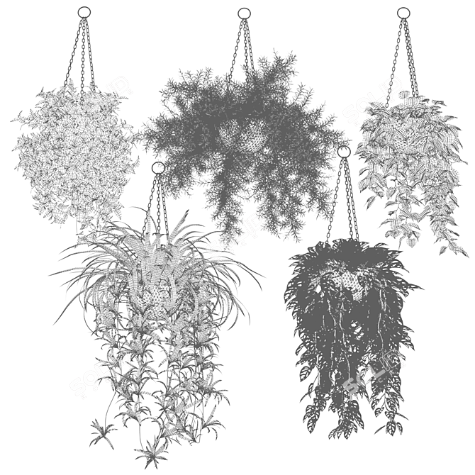 Hanging Plants in Half Spheres 3D model image 2