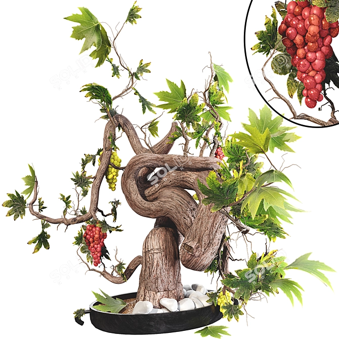 Grape Bonsai 3D Model Kit 3D model image 1