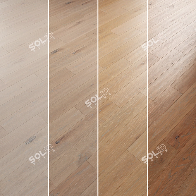 Oak Parquet Flooring Collection 3D model image 2