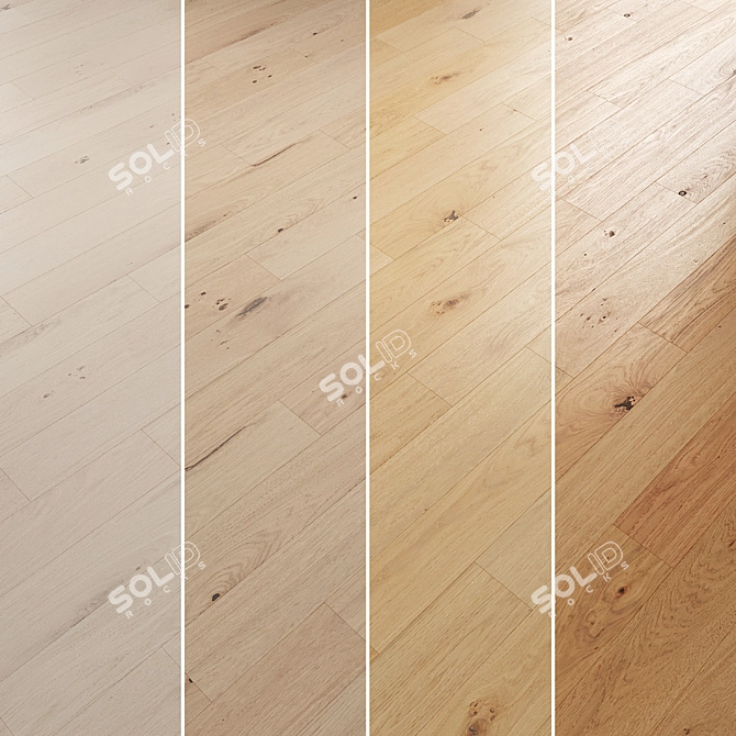 Oak Parquet Flooring Collection 3D model image 2