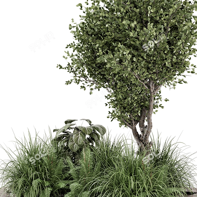 Outdoor Garden Bush Tree Set 3D model image 4