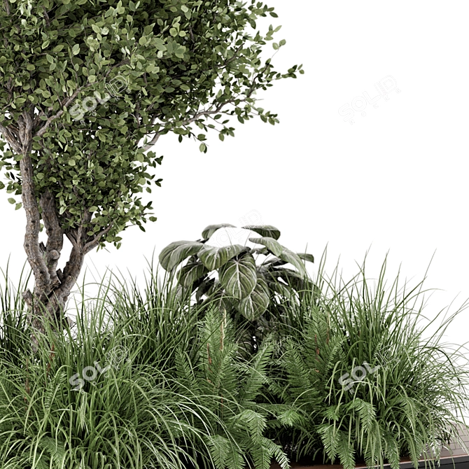 Outdoor Garden Bush Tree Set 3D model image 6