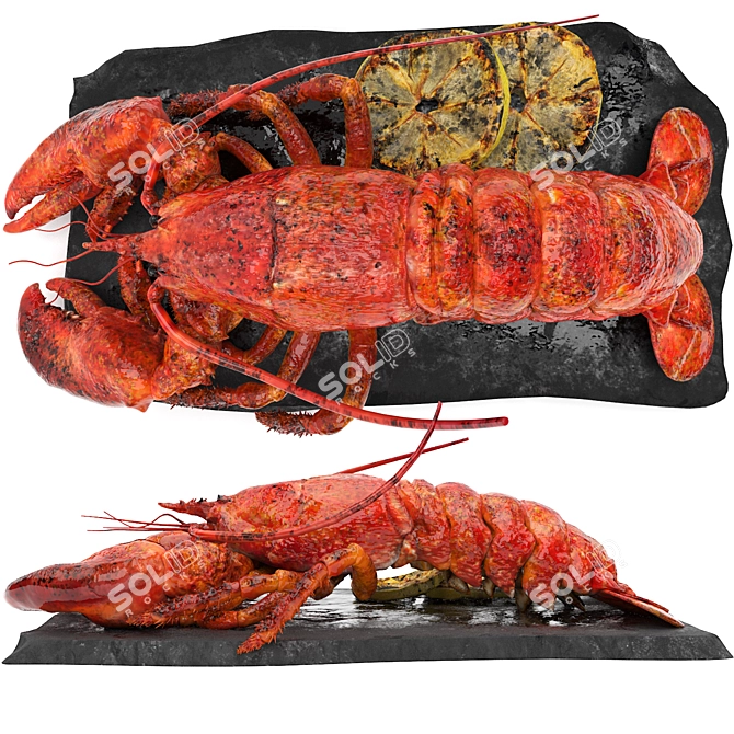 Sleek Lobster Set 3D Model 3D model image 1