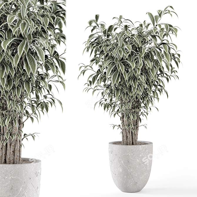 Rusty Concrete Pot Indoor Plants 3D model image 1