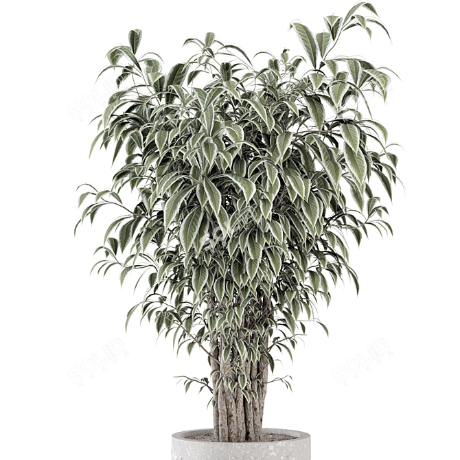 Rusty Concrete Pot Indoor Plants 3D model image 2