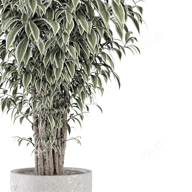Rusty Concrete Pot Indoor Plants 3D model image 4