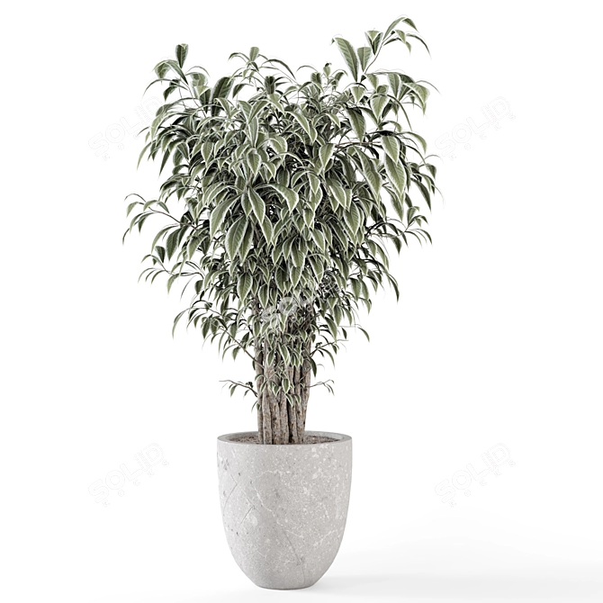 Rusty Concrete Pot Indoor Plants 3D model image 5