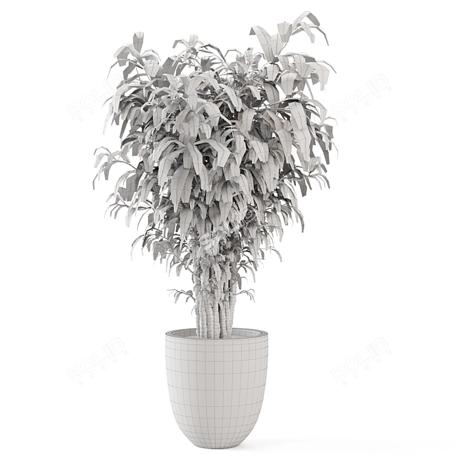 Rusty Concrete Pot Indoor Plants 3D model image 6