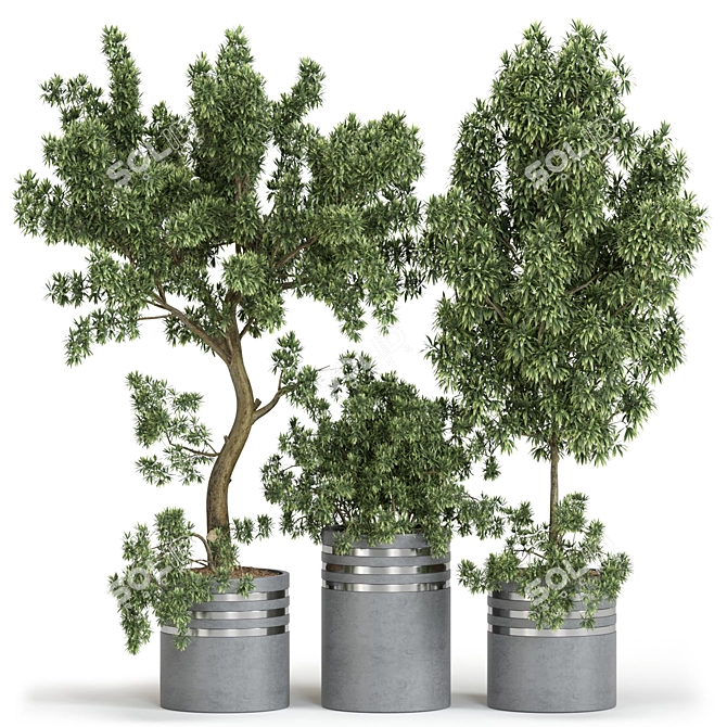  Russian Plant Collection 3D Models 3D model image 1