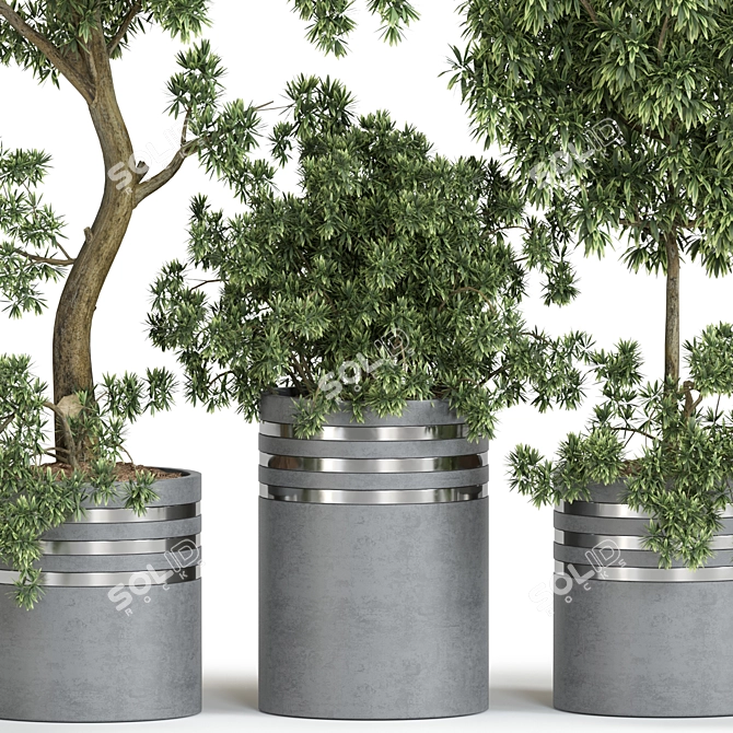  Russian Plant Collection 3D Models 3D model image 2