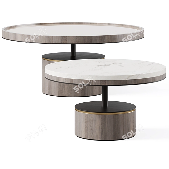 Elegant PAROS Coffee Table 3D model image 1