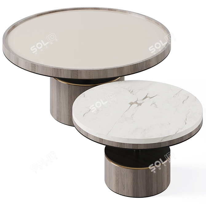 Elegant PAROS Coffee Table 3D model image 4