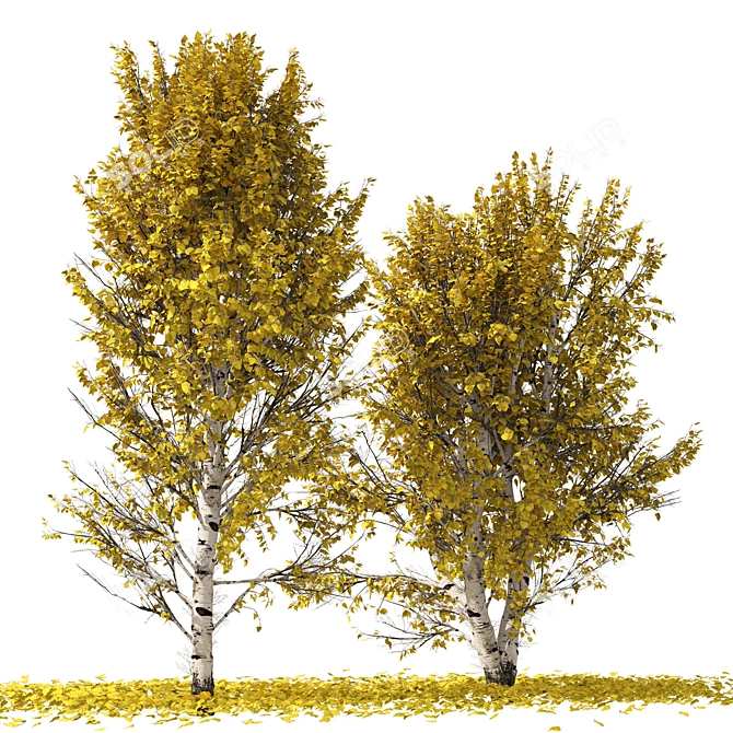 Autumn Birch Tree 3D Model 3D model image 1