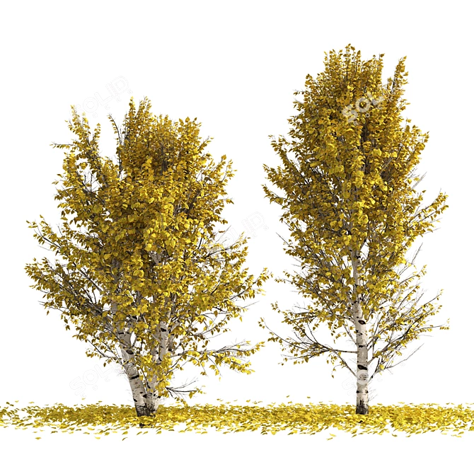 Autumn Birch Tree 3D Model 3D model image 4