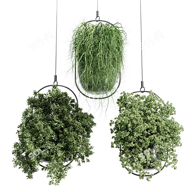 Modern Hanging Plant for Indoor Spaces 3D model image 2