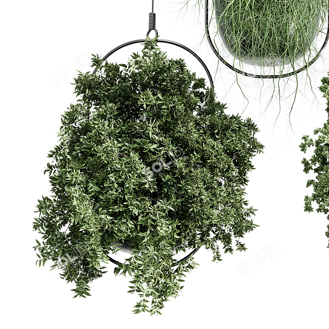 Modern Hanging Plant for Indoor Spaces 3D model image 3