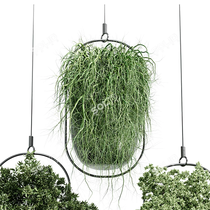 Modern Hanging Plant for Indoor Spaces 3D model image 5