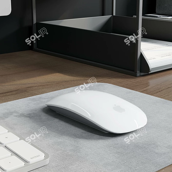 Workplace Plants Box Divider 01 3D model image 4