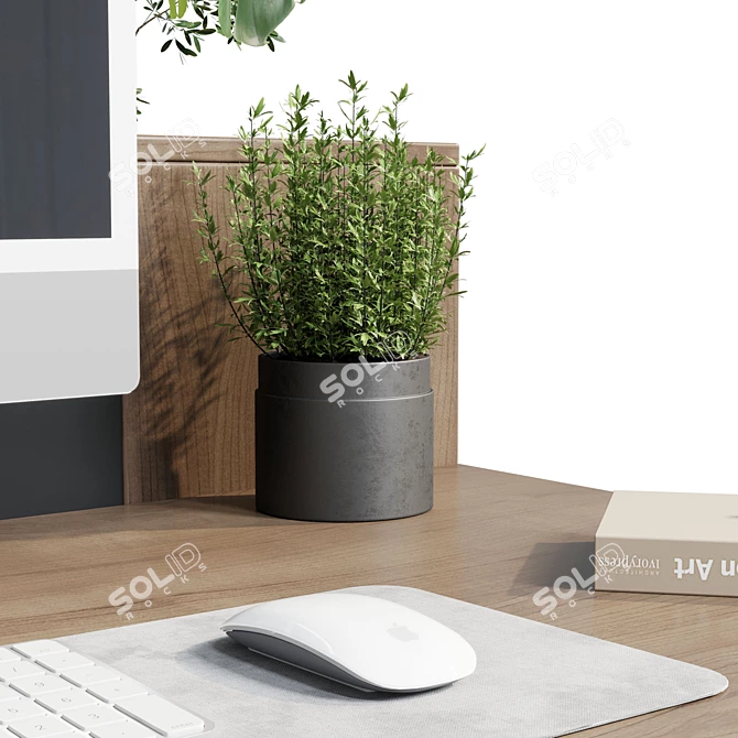 Workplace Plants Box Divider 01 3D model image 6