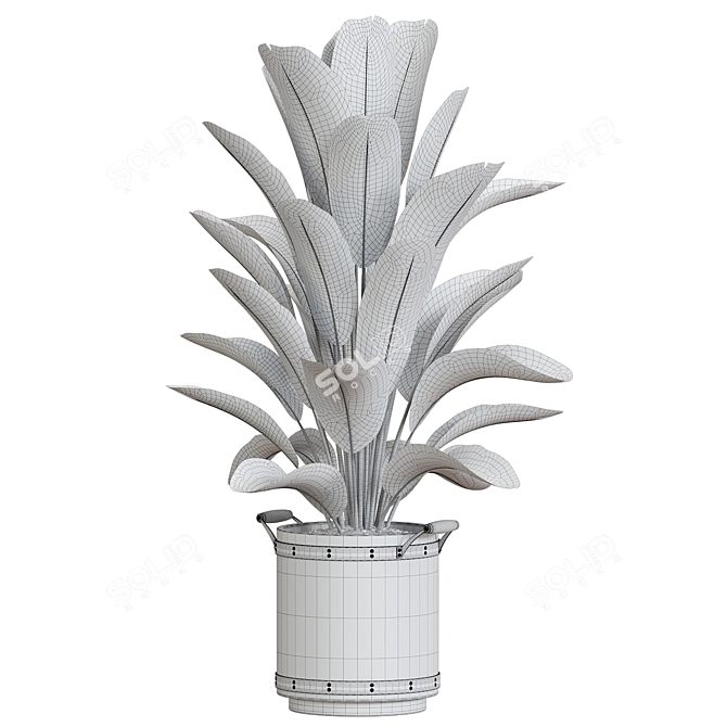 Title: Corona Plant Collection 3D Models 3D model image 2