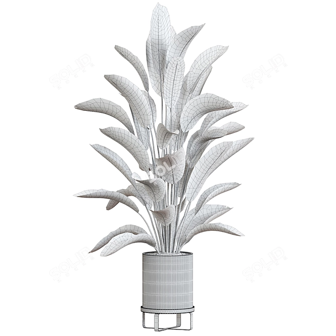 Modern Plant Collection 55 3D model image 2