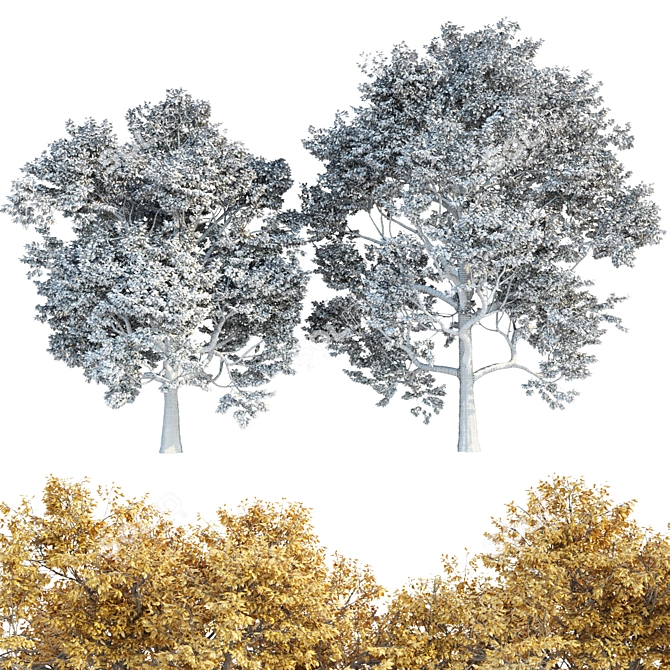 Autumn Maple Tree 3D Models 3D model image 6