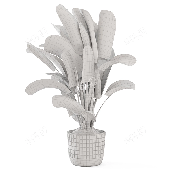 Concrete Pot Banana Plant Set 3D model image 6